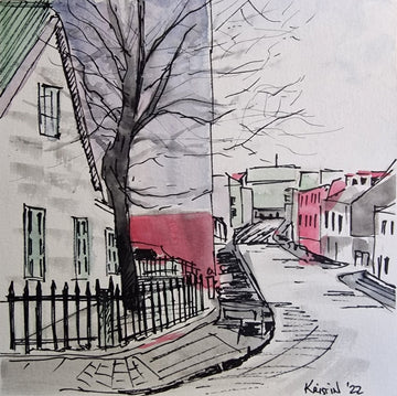 Í Reykjavík